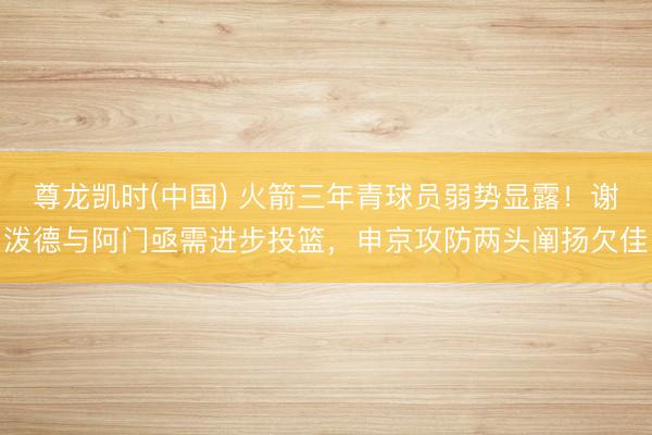 尊龙凯时(中国) 火箭三年青球员弱势显露！谢泼德与阿门亟需进步投篮，申京攻防两头阐扬欠佳