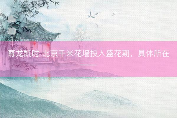 尊龙凯时 北京千米花墙投入盛花期,具体所在——