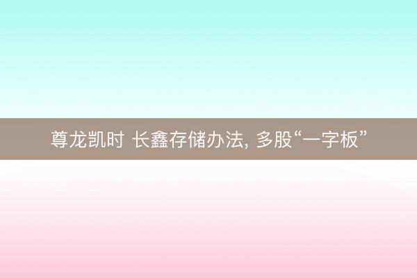 尊龙凯时 长鑫存储办法， 多股“一字板”