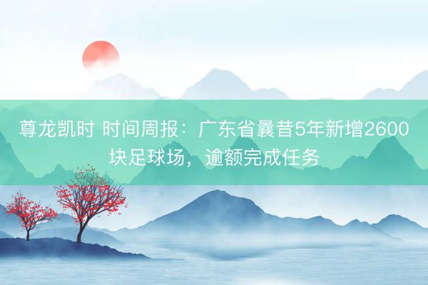 尊龙凯时 时间周报：广东省曩昔5年新增2600块足球场，逾额完成任务