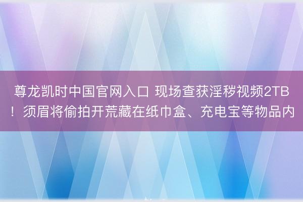 尊龙凯时中国官网入口 现场查获淫秽视频2TB！须眉将偷拍开荒藏在纸巾盒、充电宝等物品内