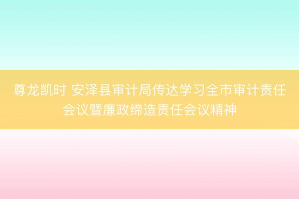 尊龙凯时 安泽县审计局传达学习全市审计责任会议暨廉政缔造责任会议精神