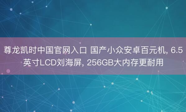 尊龙凯时中国官网入口 国产小众安卓百元机， 6.5英寸LCD刘海屏， 256GB大内存更耐用