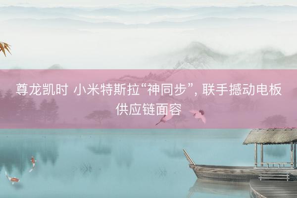 尊龙凯时 小米特斯拉“神同步”, 联手撼动电板供应链面容