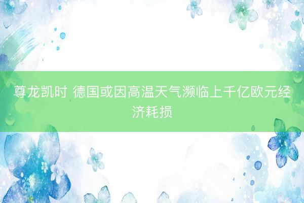 尊龙凯时 德国或因高温天气濒临上千亿欧元经济耗损