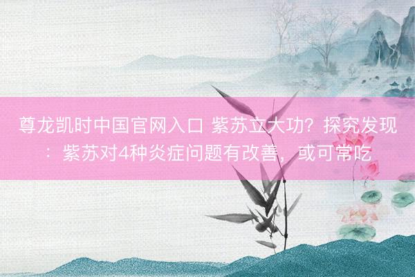 尊龙凯时中国官网入口 紫苏立大功？探究发现：紫苏对4种炎症问题有改善，或可常吃