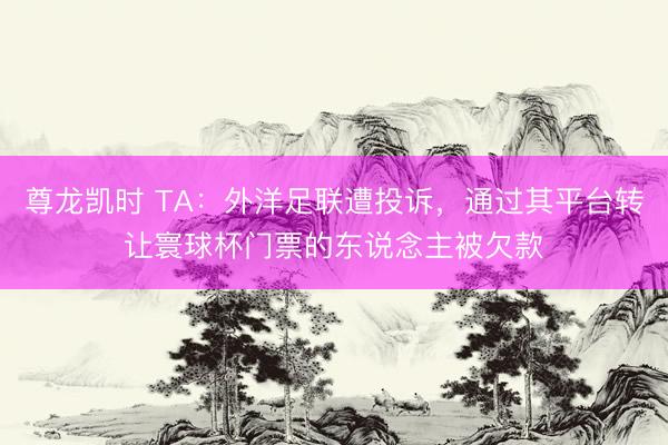尊龙凯时 TA：外洋足联遭投诉，通过其平台转让寰球杯门票的东说念主被欠款