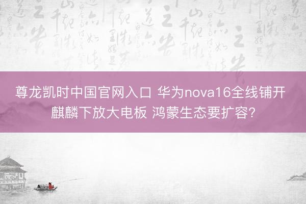 尊龙凯时中国官网入口 华为nova16全线铺开 麒麟下放大电板 鸿蒙生态要扩容?