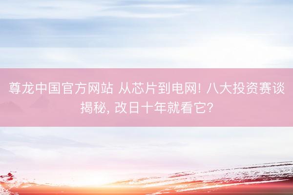 尊龙中国官方网站 从芯片到电网! 八大投资赛谈揭秘， 改日十年就看它?