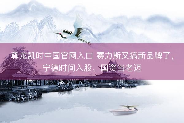 尊龙凯时中国官网入口 赛力斯又搞新品牌了，宁德时间入股、国资当老迈