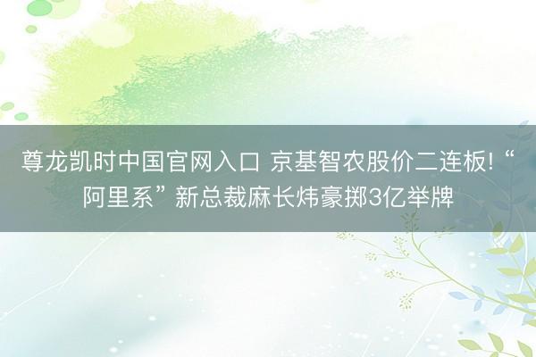 尊龙凯时中国官网入口 京基智农股价二连板! “阿里系” 新总裁麻长炜豪掷3亿举牌