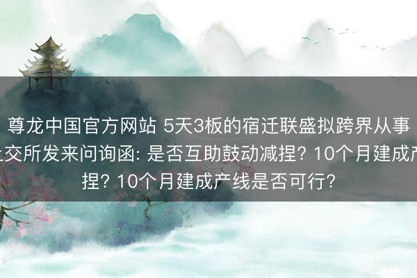 尊龙中国官方网站 5天3板的宿迁联盛拟跨界从事磷化铟业务 上交所发来问询函: 是否互助鼓动减捏? 10个月建成产线是否可行?