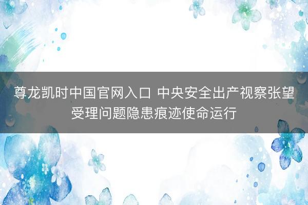 尊龙凯时中国官网入口 中央安全出产视察张望受理问题隐患痕迹使命运行