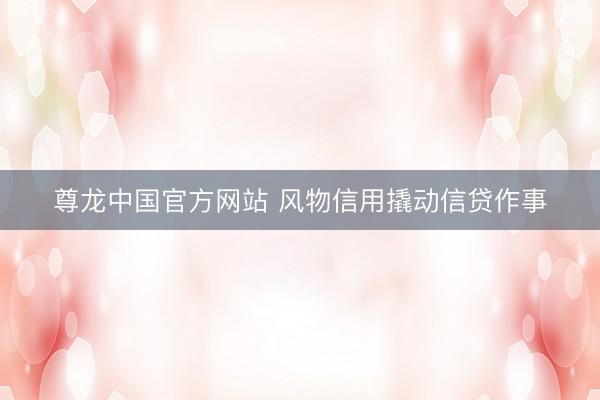 尊龙中国官方网站 风物信用撬动信贷作事