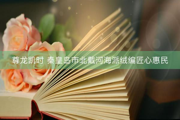 尊龙凯时 秦皇岛市北戴河海派绒编匠心惠民