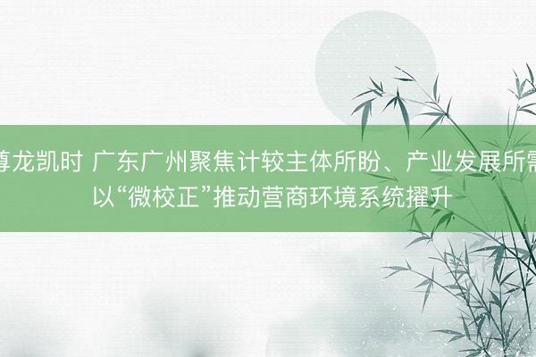 尊龙凯时 广东广州聚焦计较主体所盼、产业发展所需 以“微校正”推动营商环境系统擢升