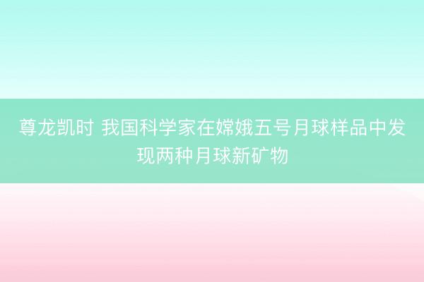 尊龙凯时 我国科学家在嫦娥五号月球样品中发现两种月球新矿物