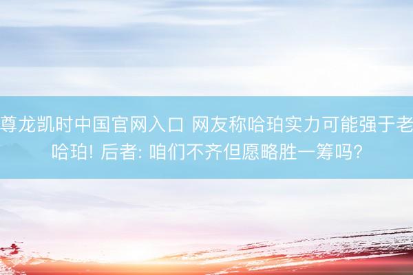 尊龙凯时中国官网入口 网友称哈珀实力可能强于老哈珀! 后者: 咱们不齐但愿略胜一筹吗?