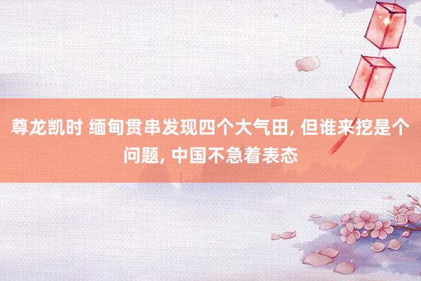 尊龙凯时 缅甸贯串发现四个大气田， 但谁来挖是个问题， 中国不急着表态