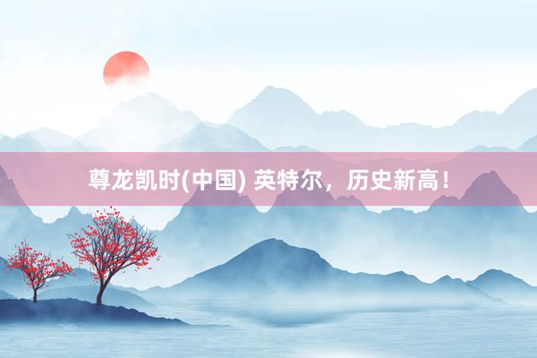 尊龙凯时(中国) 英特尔，历史新高！