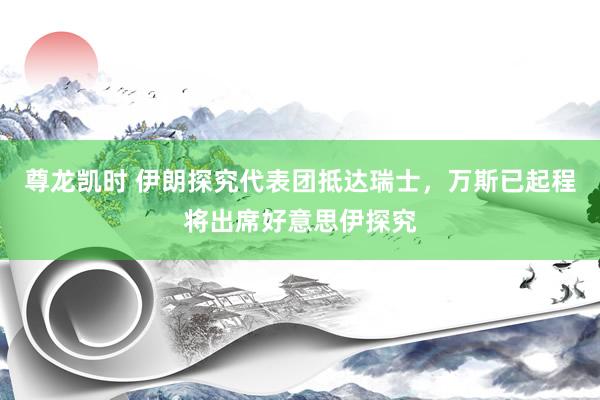 尊龙凯时 伊朗探究代表团抵达瑞士,万斯已起程将出席好意思伊探究