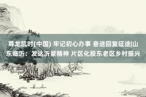 尊龙凯时(中国) 牢记初心办事 奋进回复征途|山东临沂：发达沂蒙精神 片区化股东老区乡村振兴